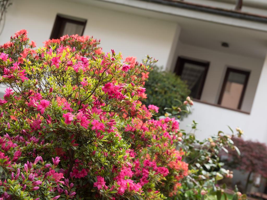 Casa Vacanze Boario Darfo Boario Terme Exterior photo
